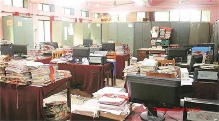 नगर निगम