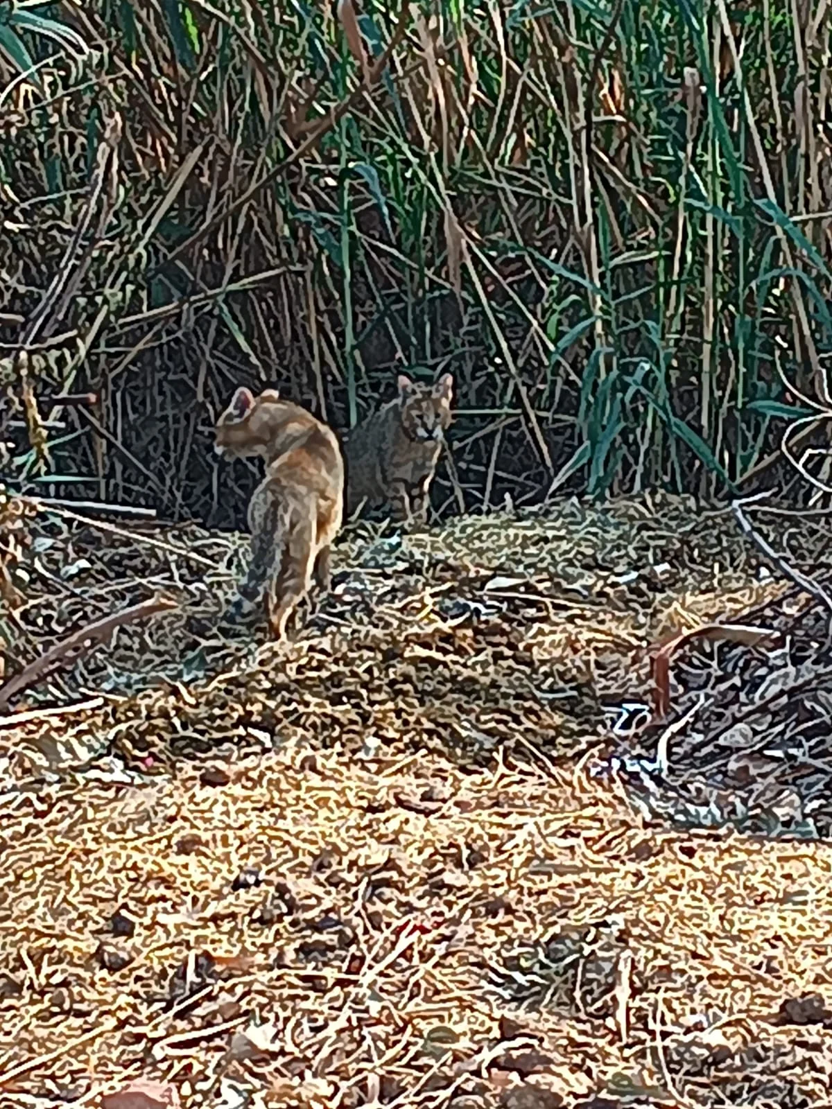 ਮੁਕਤਸਰ ਸਾਹਿਬ