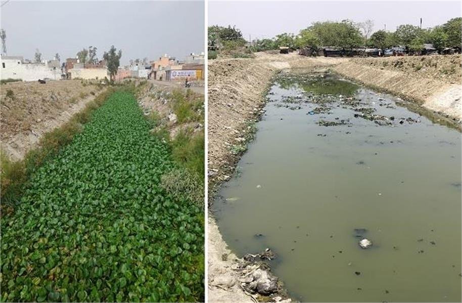 स्मार्ट