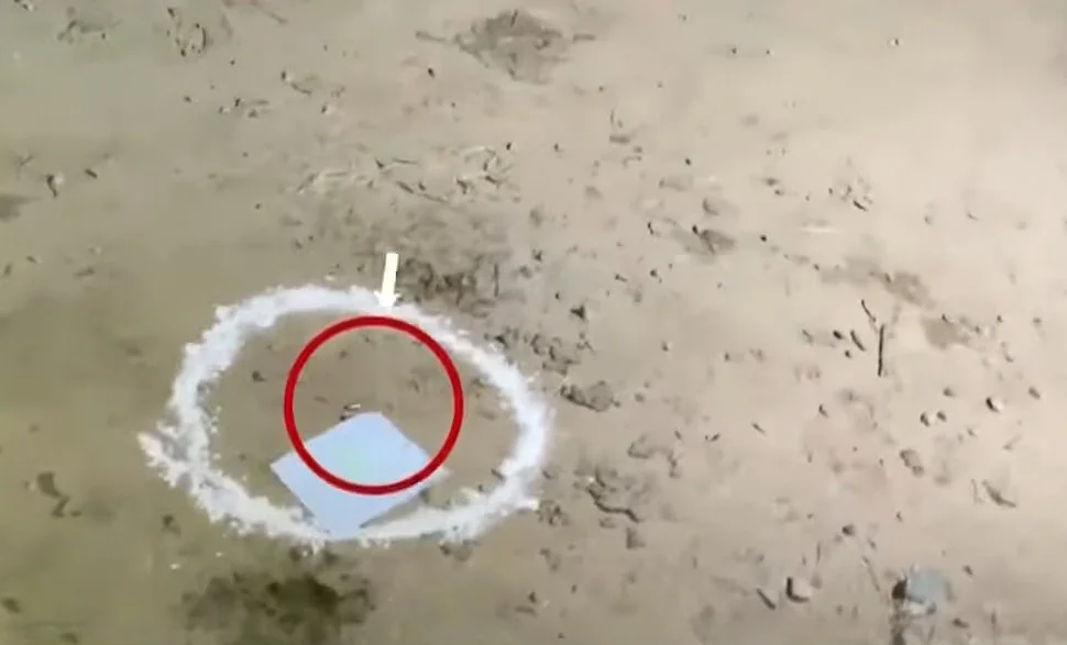 ਤਰਨ ਤਾਰਨ