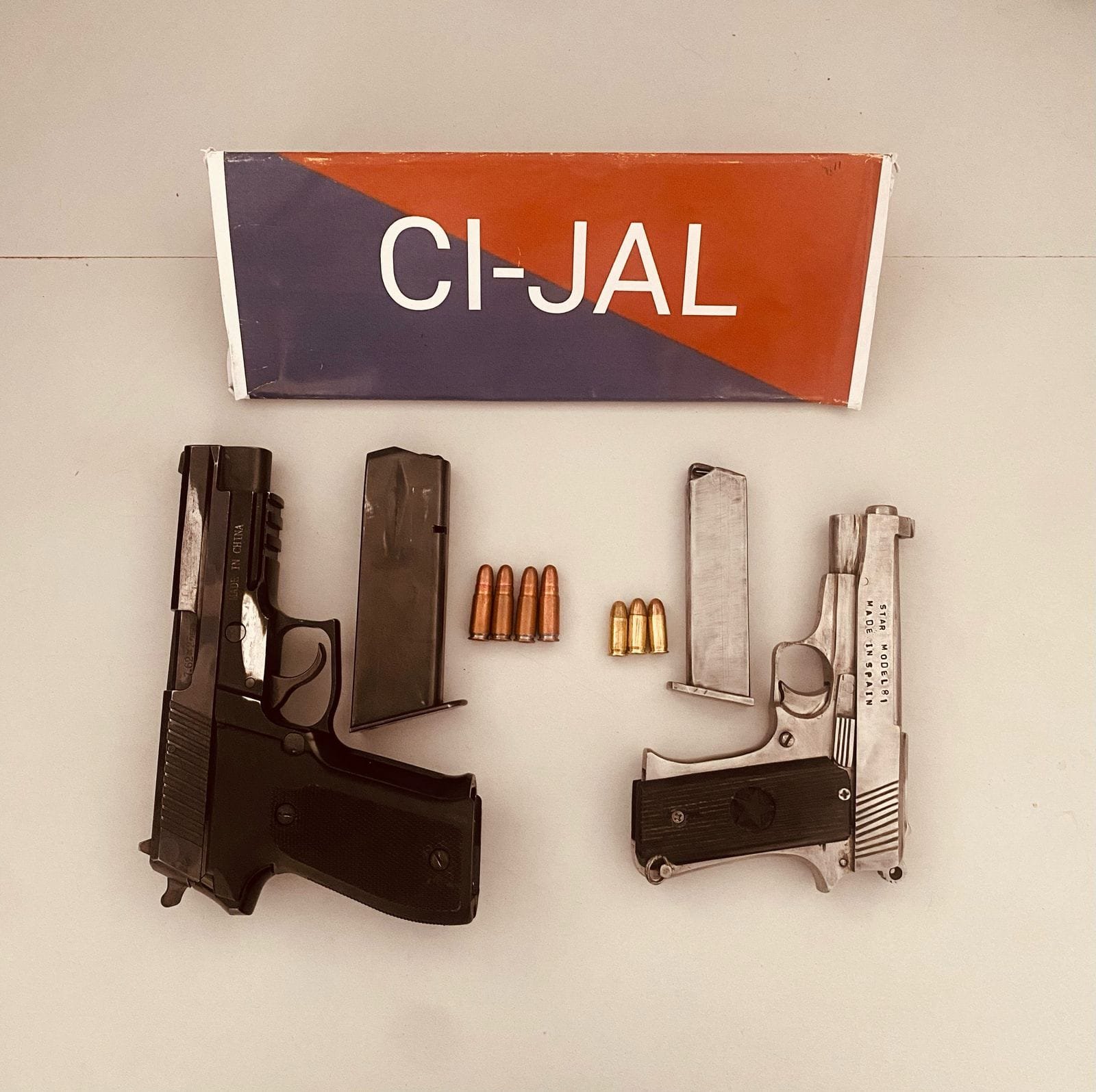 ਪੰਜਾਬ ਪੁਲਿਸ