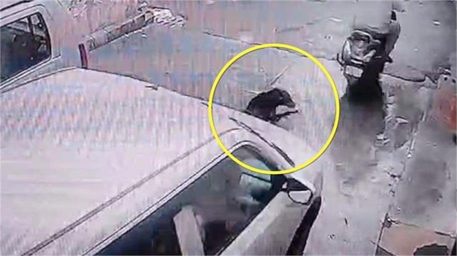 लुधियाना