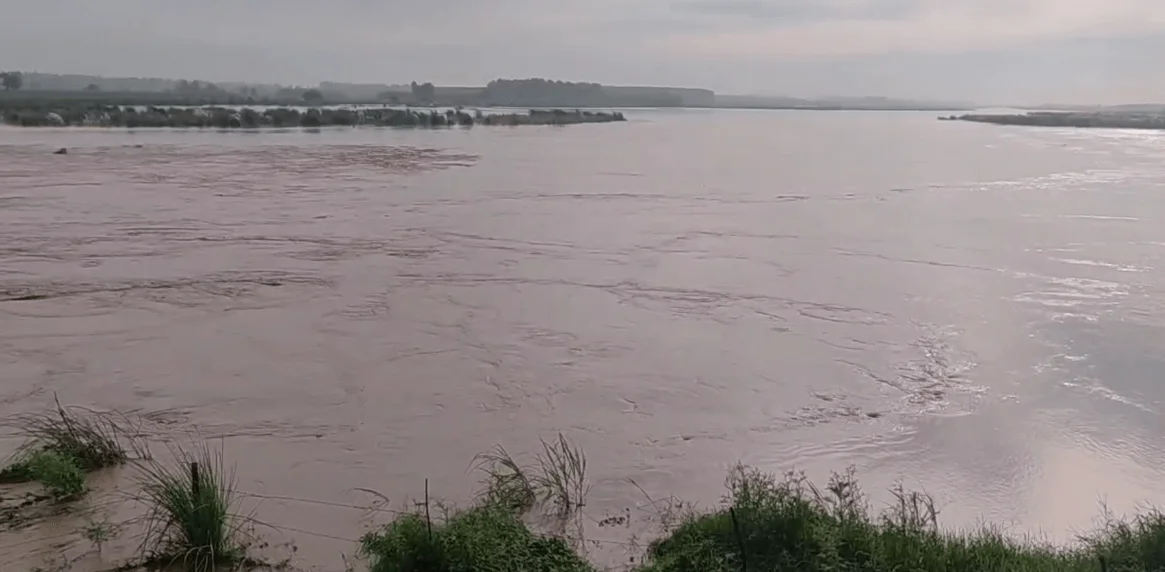 ਰਾਵੀ ਦਰਿਆ