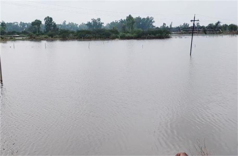 एडवाइजरी