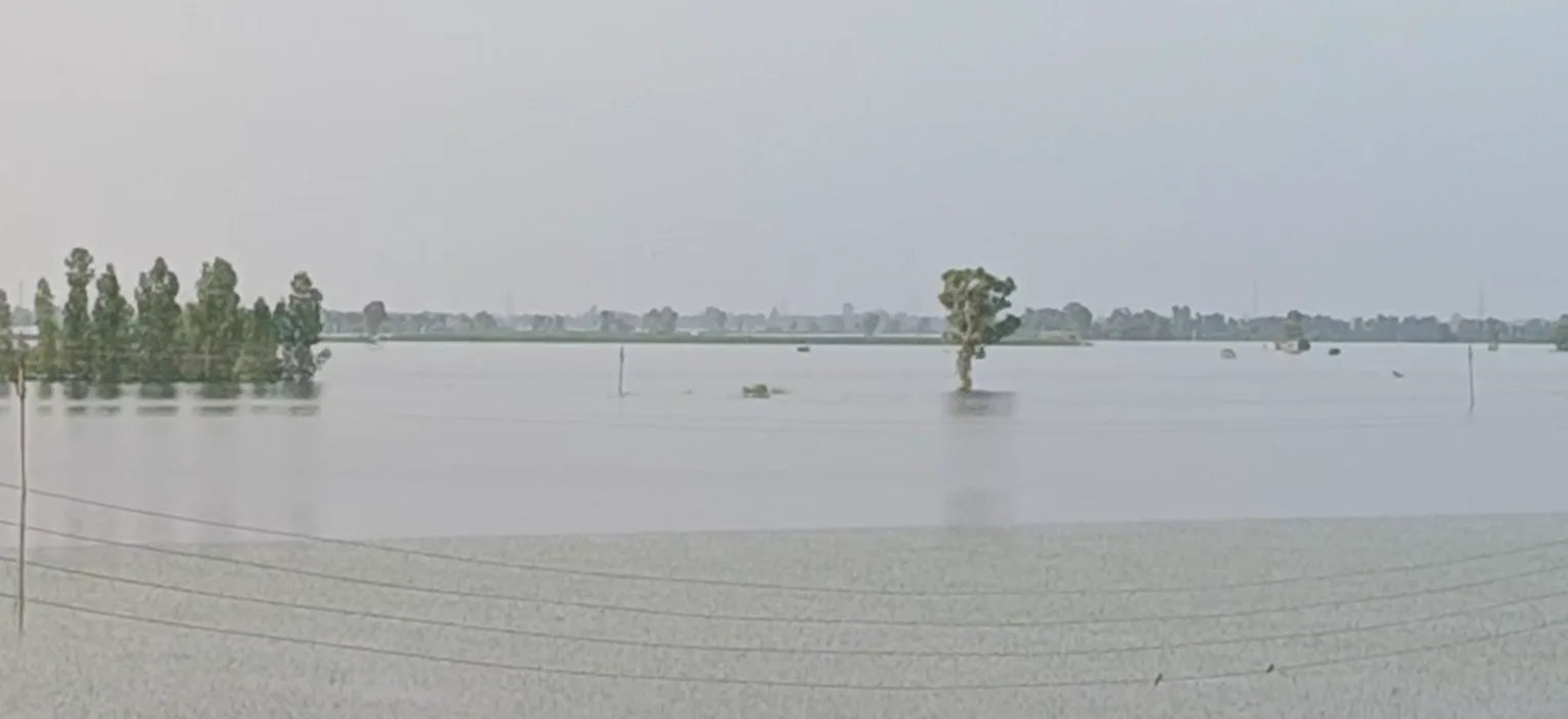 ਸੁਲਤਾਨਪੁਰ