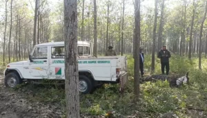 ਹੁਸ਼ਿਆਰਪੁਰ